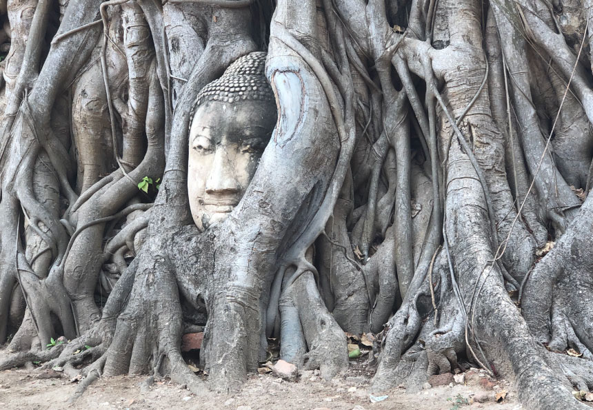 Atsushi Tsuji 辻 敦志